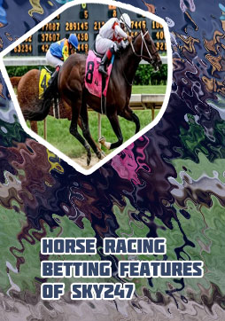 Sky247 horses betting