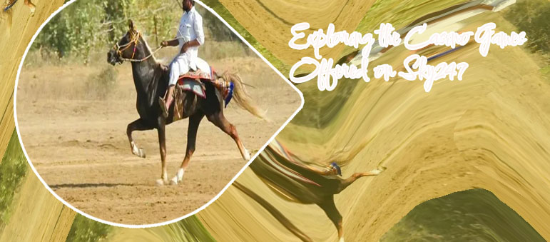 Sky247 horses with Indian Rupee